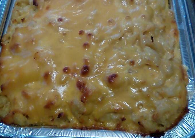 Baked Pasta & Cheese