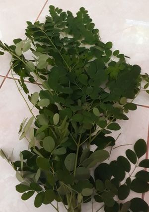 Foto resep Sayur kelor sweeger