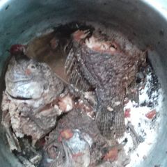 A picture of Stewed fish.