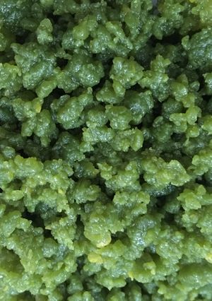 Foto resep Seri kaya