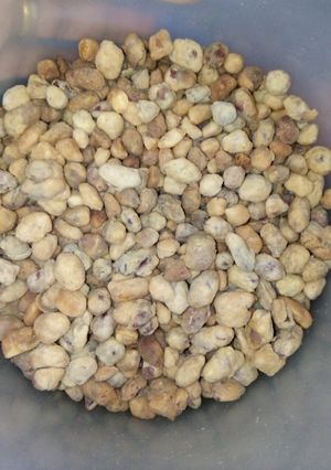 Foto resep Kacang telor simple
