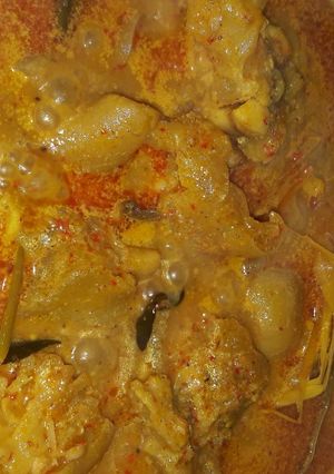 Foto resep Gulai Kikil Padang