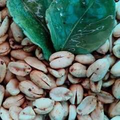 รูปของ Kacang Goreng Rasa Mede