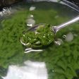 Cendol Homemade TANPA CETAKAN