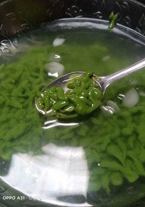 Foto resep Cendol Homemade TANPA CETAKAN