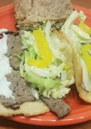 A picture of Gyro Meat W/Tzatziki Sauce.