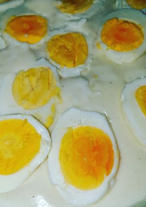 Une photo de Oeuf à la béchamel