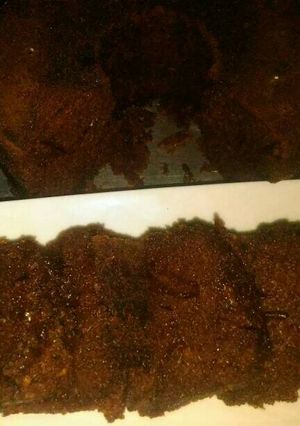 Foto resep Bolu karamel ala yuliana
