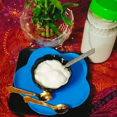 Curd (Homemade thick curd) (dahi) A picture of Curd (Homemade thick curd) (dahi).