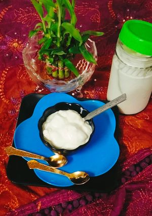 A picture of Curd (Homemade thick curd) (dahi).