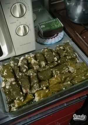 Una foto de Sarmá(niños envueltos de acelga y repollo blanco)