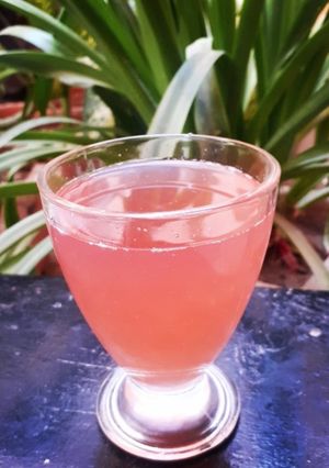 A picture of Falsay ka Sharbat 🍹.