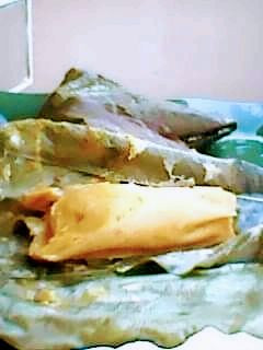 A picture of Cinnamon Moimoi.