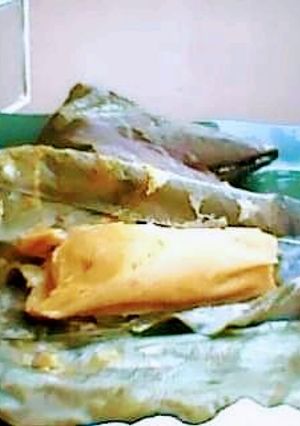A picture of Cinnamon Moimoi.