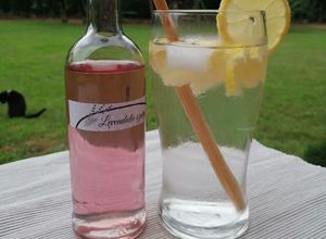 Eritrites levendulaszörp recept fotója