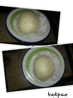 Foto resep Bakpao simpel ny liem