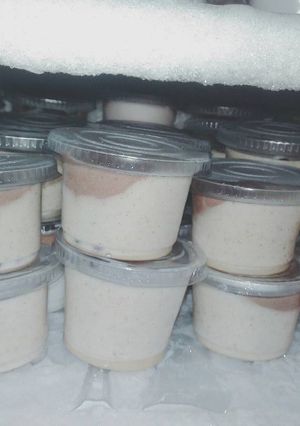 Foto resep Es Krim Lembut