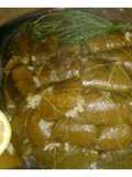 Stuffed Grape Leaves