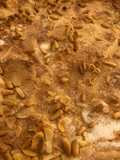 Coca de Llavaneras (tmx)