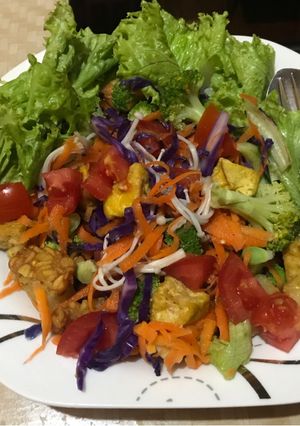 Foto resep Vegetable Salad Vegetarian