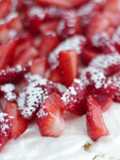 Pavlova