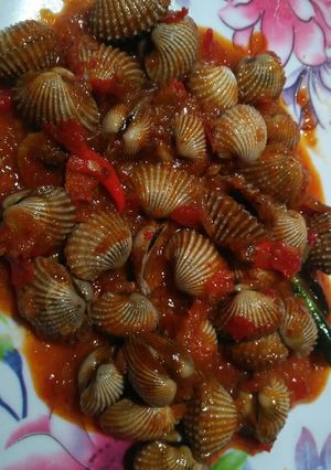 Foto resep Kerang dara bumbu saos padang