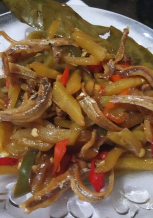 Foto resep Tumis labu siam + teri jengki pedas mantab👍