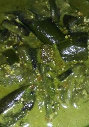 Foto resep Lodeh Terong Simple