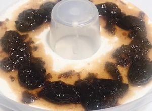 Foto de Manjar de Coco e Ameixa Low Carb