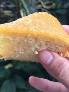 Foto resep Bolu dari Nutrijel (Resep variasi)
