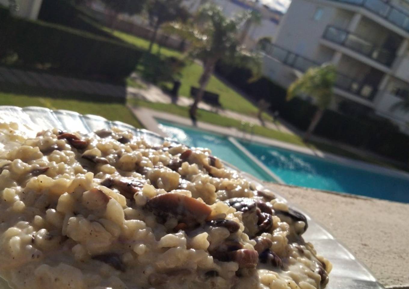 Risotto con variado de setas