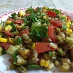 A picture of Sprouted Moong Chaat.