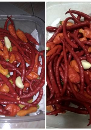 Foto resep Tips menyimpan cabe supaya awet