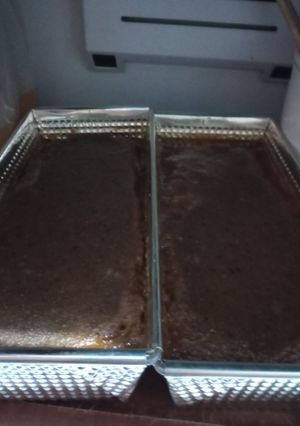 Una foto de Budín con Caras sucias!!!