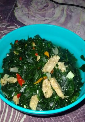 Foto resep Tumis Daun Pepaya Jepang Tempe