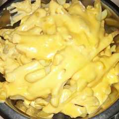 A picture of Salsa cheddar.