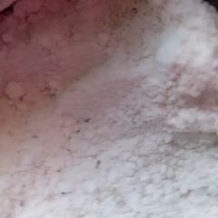 A picture of Instant kheer mix.