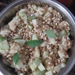 A picture of Sprout chat.