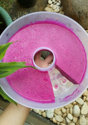 Foto resep Puding susu buah naga