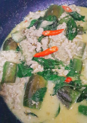รูปของ แกงเขียวหวานหมูสับใส่มะเขือยาว