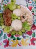 Rizses 🍅🥒🫑🥕🧄Tejszínes csirkemelles Stroganoff 🥗ropogós zöldségekkel🫑🥒🫛🥕🍅