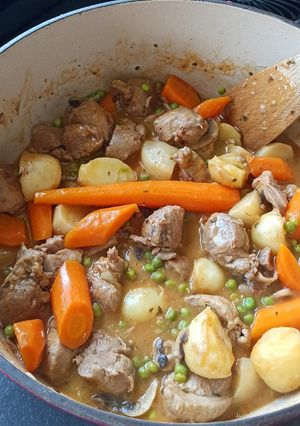 A picture of Turkey Navarin with Spring Vegetables.