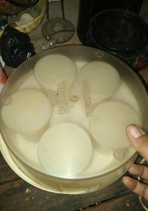 Una foto de Yogurt con leche en polvo en yogurtera y sin yogurtera