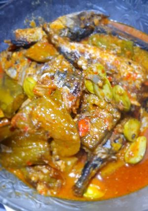 Foto resep Tongkol, terong pete santan ala unyit