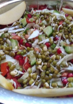 સલાડ (Salad Recipe In Gujarati) રેસીપી મુખ્ય ફોટો
