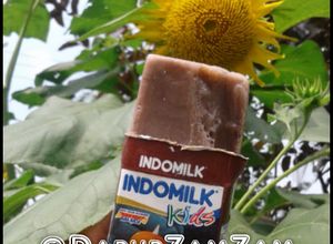 Foto resep Indomilk Ice Cream