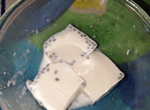 Foto resep Puding Susu Formula + Selasih