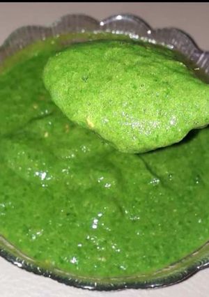 A picture of Raw tomato and Coriander chutney.