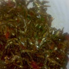 A picture of Omena fry.