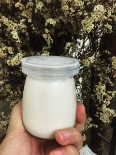 Hình của món Sữa chua homemade -Ủ yogurt bằng nồi cơm điện đơn giản.